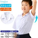 ストレッチ スクールシャツ 半袖 男子 開襟シャツ 110cmA〜180cmB (B体 学生服 ワイシャツ 中学生 高校生 男の子 制服 シャツ ノーアイロン Yシャツ スクログ)