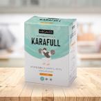 アミノ酸 スティックタイプ オレンジ風味 BCAA クレアチン アルギニン シトルリン アストラジン サプリメント KARAFULL