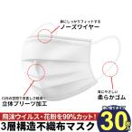 マスク 30枚 箱 使い捨