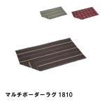 アウトドア ラグ おしゃれ 敷物 マット クロス 180×100cm 2人用 長方形 コンパクト 収納袋付き ブランケット キャンプマット 爆買 母の日