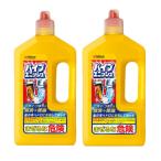 まとめ買いパイプユニッシュ パイプクリーナー 液体 800g×2本 パイプ掃除 お風呂 排水溝 排水