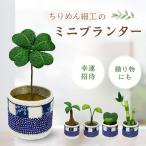  искусственная зелень Mini декоративное растение крепдешиновое мастерство ryuukodou сделано в Японии настольный стол вход туалет интерьер украшение маленький симпатичный модный 