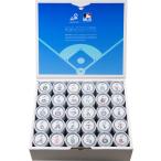 数量限定【八海山】特別本醸造 八�