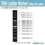 DNA Ladder Marker 100bp ラダーマーカー DNA検査 遺伝子検査