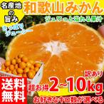 みかん 2kg~10kg 訳あり 和歌山みかん 越冬樹上熟成みかん 農家直送 みかん ギフト 温州みかん フルーツ 果物