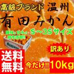 <予約販売12月上旬頃から順次発送> みかん 10kg 訳あり 小玉 S~3Sサイズ 小さいサイズのみ 和歌山 ブランド 有田みかん ありだみかん フルーツ 果物