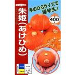  овощи семена красный кожа Mini тыква [..] 6 шарик ( наан to вид рассада )[ включая доставку ]....akehime красный кожа юг . тыква высшее . сырой 