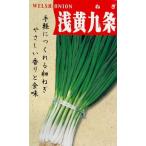野菜種子 葉ネギ「浅黄九条」 2dl【送料込み】 あさぎ