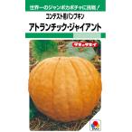  овощи семена jumbo тыква [a тигр n шик *ja Ian to] 5 шарик (takii вид рассада )[ включая доставку ] Atlantic ja Ian to юг . темно синий тест для тыква 