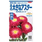  цветок семена цветок. большой астер [...XL rose ] 100 шарик (sakata. tane)[ включая доставку ] цветок. . вид .....ezogik Satsuma .satsu Magi k садоводство срезанные цветы 