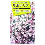 花種子 サポナリア「バッカリア混合」 2ml（タキイ種苗）【送料込み】 石鹸…