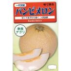  овощи семена дыня [ Bambi дыня ] 100 шарик ( Nara UGG li)[ включая доставку ].... сырой udon . болезнь выдерживающий болезнь белый . мясо 