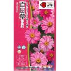  цветок семена 100 день .[ Berry z rose ] 40 шарик (takii вид рассада )[ включая доставку ] Berry z rose jiniahyaknichi saw . остров .ulasima saw длина ..cho поплавок .u saw FZN731
