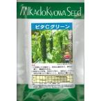 野菜種子 ゴーヤ「ビタCグリーン」 100粒（ヴィルモラ