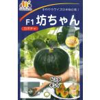  овощи семена Mini тыква [. Chan ] 8 шарик ( vi rumo Ran ...)[ включая доставку ].. Chan bo коричневый n юг . тыква F1 товар вид сельское хозяйство . вода производство . регистрация товар вид ( товар вид название :...)