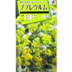  цветок семена [b pre urum] 0.5ml( примерно 40 минут )(takii вид рассада )[ включая доставку ] есть nki носорог kob pre liumb pre новый mb pre дракон m аранжировка цветов 