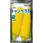  овощи семена сладкий кукуруза [ can bela86] 2,000 шарик (takii вид рассада )[ включая доставку ].....86 кукуруза кукуруза средний . сырой 