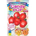  овощи семена bell type мини помидоры [CandyPop rouge ] 7 шарик ( наан to вид рассада )[ включая доставку ] сладости pop rouge Chris pi- выдерживающий болезнь . низкий кислота тест . сырой 