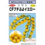野菜種子 超薄皮ミニトマト「CFプチぷよイエロー」 7