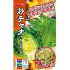 野菜種子 肉厚非結球レタス「炒チャオ」 コート200粒
