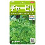  трава семена [ кервель ] 5.9ml(sakata. tane)[ включая доставку ] собственный .-yuselifi-yu...ui both zeli сад кервель прекрасный еда дом * гурман. петрушка 