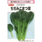 野菜種子 コマツナ「ちぢみこまつ菜」 20ml（渡辺採種