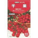  овощи семена мини помидоры [ тысяч .] 16 шарик (takii вид рассада )[ включая доставку ]chika.. высота сахар раз много . выдерживающий болезнь . выдерживающий болезнь насекомое . функциональность овощи высота Rico булавка 