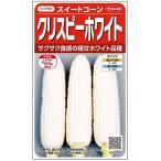  овощи семена сладкий кукуруза [ Chris pi- белый ] 13ml( примерно 30 минут )(sakata. tane)[ включая доставку ]. белка .-.... кукуруза кукуруза средний . сырой много . высота сахар раз 