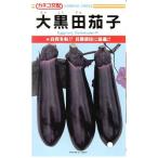 野菜種子 ナス「大黒田茄子」 2,000粒（カネコ種苗）