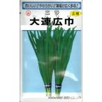 野菜種子 ニラ「大連広巾」 6ml（約50粒）（渡辺採種