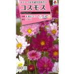  цветок семена Cosmos [ двойной клик ] 1.5ml(takii вид рассада )[ включая доставку ] осень Sakura aki The kla большой весна машина . oo Hal автомобиль gikFCS229