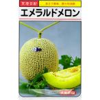  овощи семена зеленый мясо сеть дыня [ изумруд дыня ] 100 шарик ( Yamato сельское хозяйство .)[ включая доставку ]..mak wow li..... земля . культивирование udon . болезнь *.. сломан болезнь сопротивление . высота сахар раз 