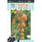  овощи семена .. мини помидоры [fla девушка o Lingerie ] 100 шарик (tokita вид рассада )[ включая доставку ]fla девушка o Lingerie orange помидор эллипс фрукты ощущение 