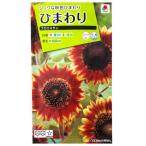  цветок семена подсолнух [f Loris язык ] 2ml(takii вид рассада )[ включая доставку ] Mukou .hi вокруг FHM119
