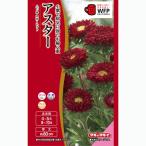  цветок семена астер [... алый ] 0.3ml (takii вид рассада )[ включая доставку ] цветок вид ... алый ...ezogik Satsuma .satsu Magi k садоводство FAS572