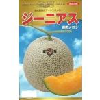 野菜種子 アールス系�