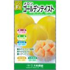 野菜種子 黄皮赤肉メ�
