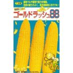  овощи семена кукуруза [ Gold Rush 88] 500 шарик (sakata. tane)[ включая доставку ] кукуруза сладкий кукуруза средний сырой желтый товар вид 
