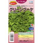 野菜種子 リーフレタス「グリーンブーケ」 ペレット13