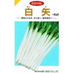 野菜種子 一本ネギ「白矢」 20ml（渡辺採種場）【送料