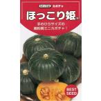  овощи семена Mini тыква [.....] 9 шарик (takii вид рассада )[ включая доставку ]...... ho kolihime юг . тыква высота . качество 