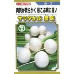  овощи семена салат Cub [. тест ] 5ml( примерно 1,000 шарик )(to- ho k)[ включая доставку ]... howe mi... корень ламинария болезнь выдерживающий .