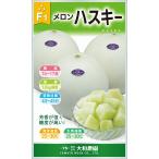  овощи семена белый кожа no- сеть белый зеленый мясо дыня [ хаски ] 100 шарик ( Yamato сельское хозяйство .)[ включая доставку ]. ..-..mak wow li цельный * земля . культивирование двоякое применение высота сахар раз 