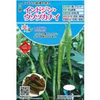 野菜種子 トウガラシ「インドジン・ウソツカナイ」20