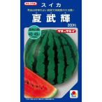 野菜種子 大玉スイカ「夏武輝」 200粒（タキイ種苗）【送料込み】 かぶき カブキ 大玉西瓜 おおだますいか 高糖度 高秀品率