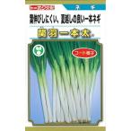 野菜種子 一本ネギ「関羽一本太葱」 コート200粒（ト