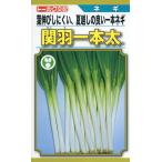 野菜種子 一本ネギ「関羽一本太葱」 1dl（トーホク）