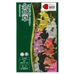 花種子 金魚草「カリヨンミックス」 0.05ml（タキイ種