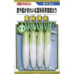  овощи семена дайкон [ лето осень Kiyoshi свет ] 5ml(to- ho k вид рассада )[ включая доставку ]... ослабленное крепление ...kashu поплавок yomitsu дайкон дайкон синий шея общий futoshi .