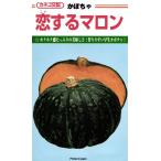  овощи семена тыква [. делать marron ] 9 шарик (ka кошка вид рассада )[ включая доставку ].. делать ...ko стул ru marron юг . тыква . сырой высшее . качество ho k ho k